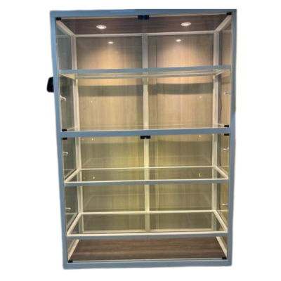 Display Case with Glass Panels